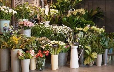 Nutsonly花店加盟 盈利前景、費用條件與經(jīng)營指南